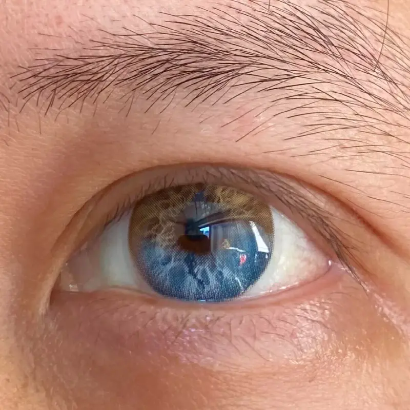 EyeLensy Half Moon Haze | 6 Months
