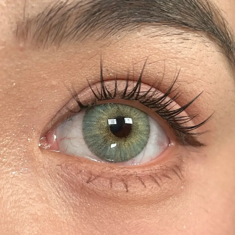 ANESTALENS Urban Green | 1 Year